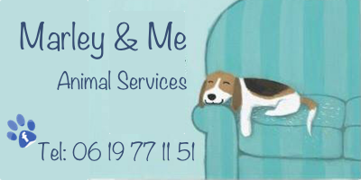 client logo 6
